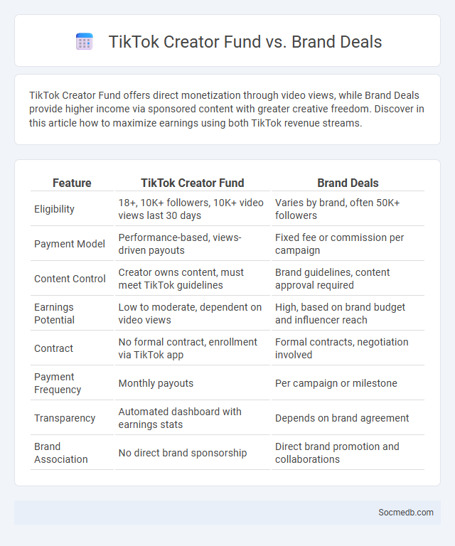 TikTok Creator Fund vs. Brand Deals - What is The Difference?
