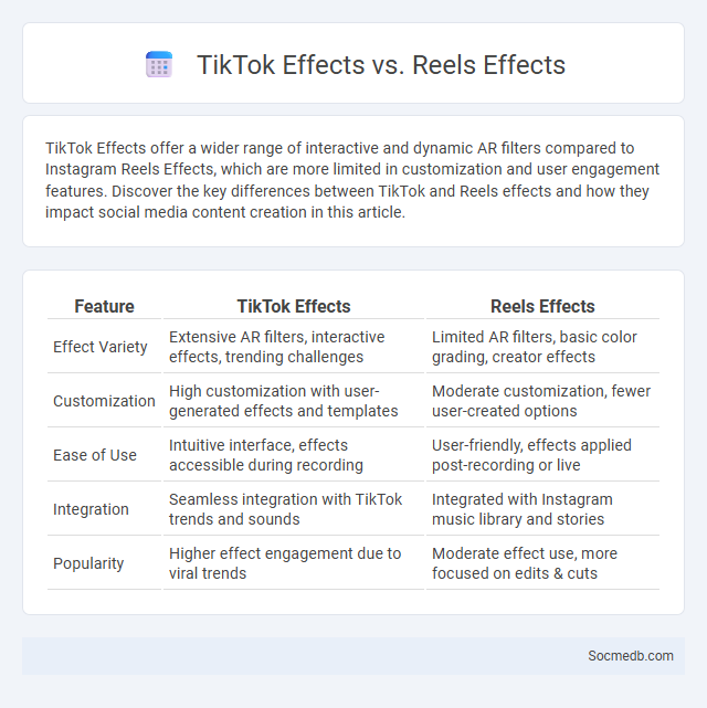 TikTok Effects vs. Reels Effects - What is The Difference?
