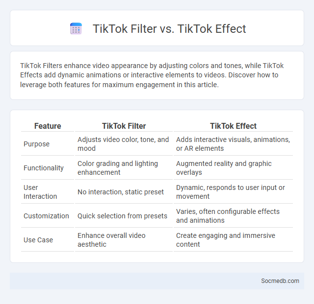 TikTok Filter vs. TikTok Effect - What is The Difference?