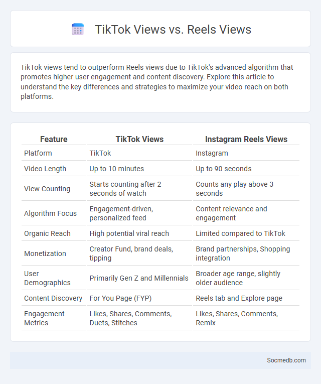 TikTok Views vs. Reels Views - What is The Difference?