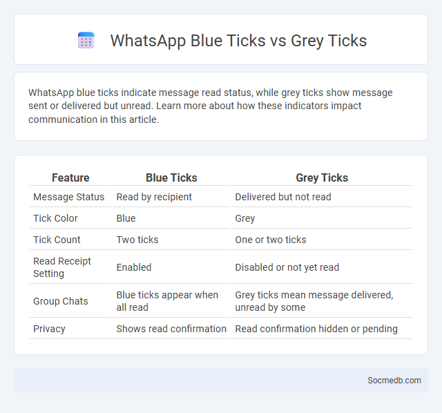 WhatsApp Blue Ticks vs Grey Ticks - What is The Difference?