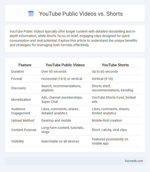 YouTube Public Videos vs. Shorts - What is The Difference?