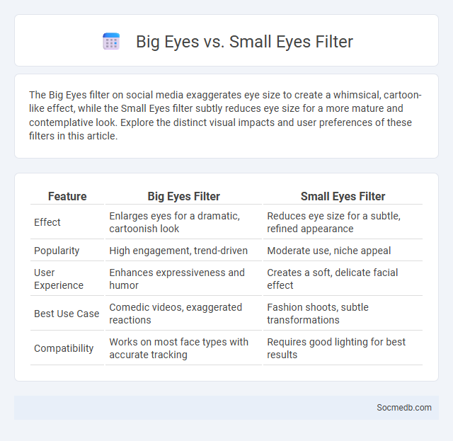 Big Eyes vs. Small Eyes Filter - What is The Difference?