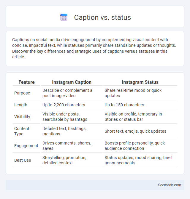 Caption vs. status - What is The Difference?
