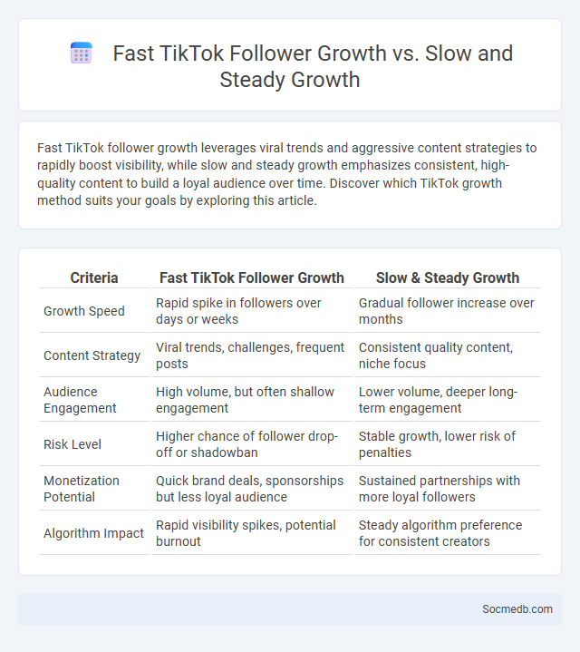 Fast TikTok Follower Growth vs. Slow and Steady Growth - What is The Difference?