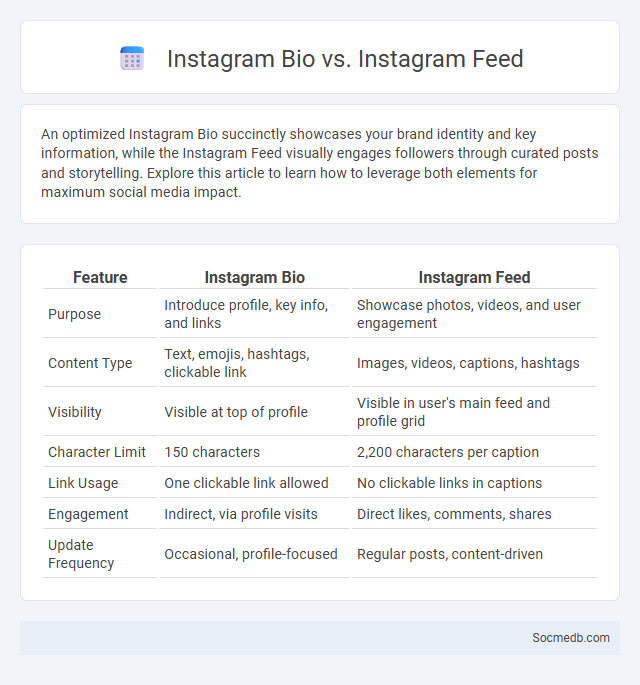 Instagram Bio vs. Instagram Feed - What is The Difference?