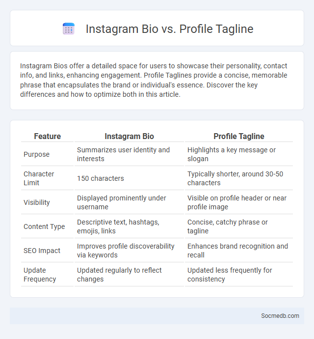 Instagram Bio vs. Profile Tagline - What is The Difference?
