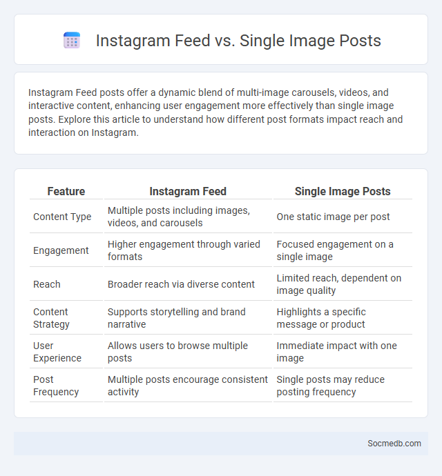 Instagram Feed vs. Single Image Posts - What is The Difference?