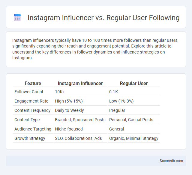 Instagram Influencer vs. Regular User Following - What is The Difference?