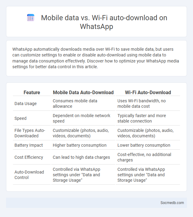 Mobile data vs. Wi-Fi auto-download on WhatsApp - What is The Difference?