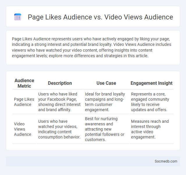 Page Likes Audience vs. Video Views Audience - What is The Difference?