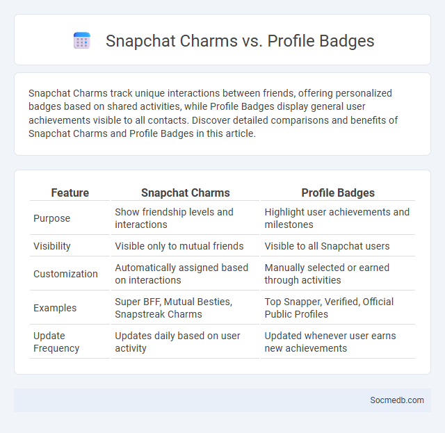 Snapchat Charms vs. Profile Badges - What is The Difference?