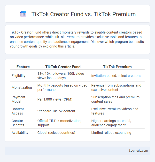 TikTok Creator Fund vs. TikTok Premium - What is The Difference?