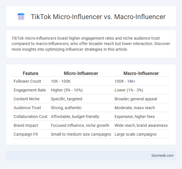 TikTok Micro-Influencer vs. Macro-Influencer - What is The Difference?