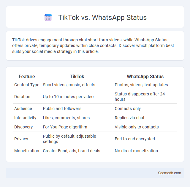 TikTok vs. WhatsApp Status - What is The Difference?