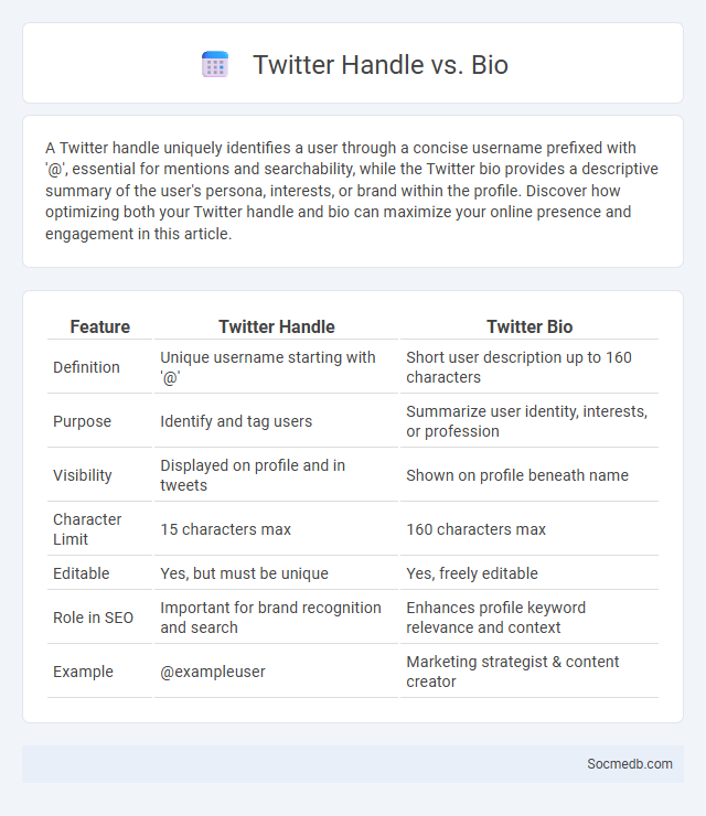 Twitter Handle vs. Bio - What is The Difference?