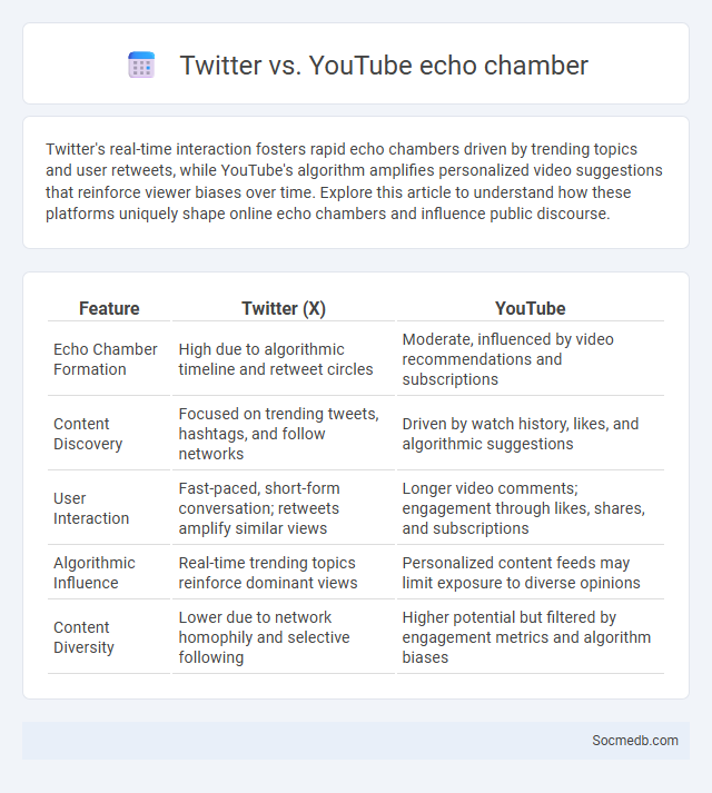 Twitter vs. YouTube echo chamber - What is The Difference?