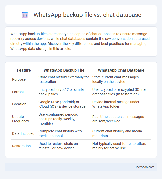 WhatsApp backup file vs. chat database - What is The Difference?