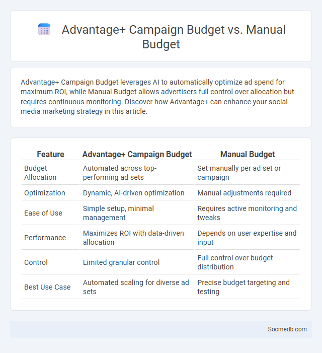 Advantage+ Campaign Budget vs. Manual Budget - What is The Difference?