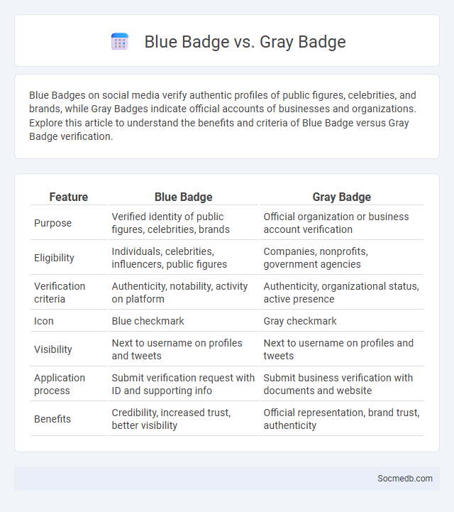 Blue Badge vs. Gray Badge - What is The Difference?
