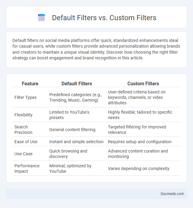 Default Filters vs. Custom Filters - What is The Difference?