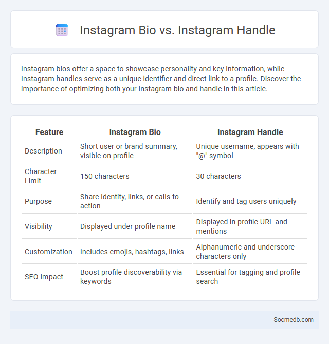 Instagram Bio vs. Instagram Handle - What is The Difference?
