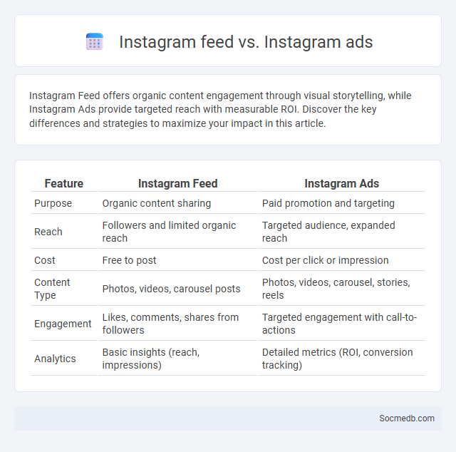 Instagram feed vs. Instagram ads - What is The Difference?