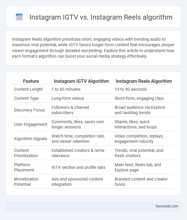 Instagram IGTV vs. Instagram Reels algorithm - What is The Difference?