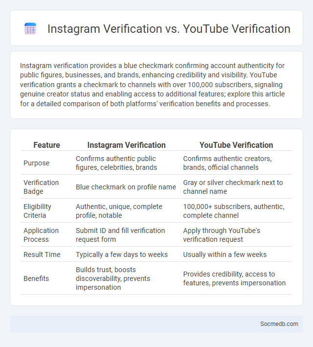 Instagram Verification vs. YouTube Verification - What is The Difference?
