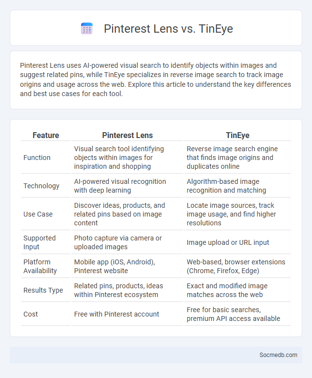 Pinterest Lens vs. TinEye - What is The Difference?