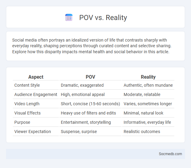 POV vs. Reality - What is The Difference?