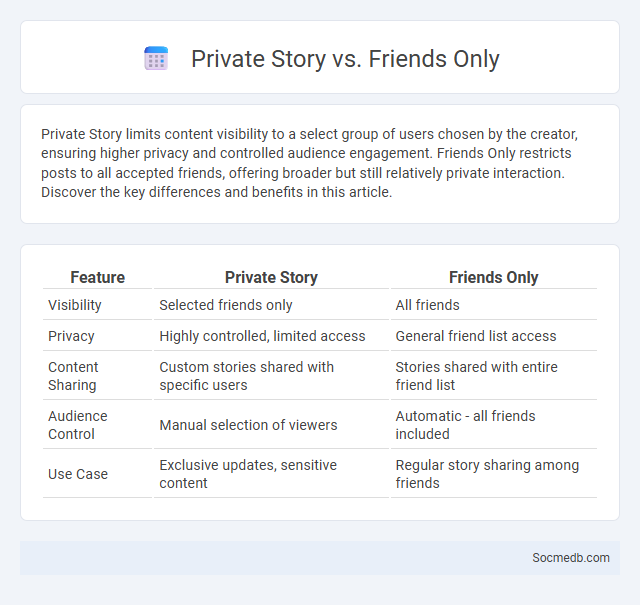 Private Story vs. Friends Only - What is The Difference?