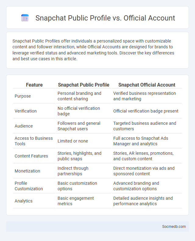 Snapchat Public Profile vs. Official Account - What is The Difference?