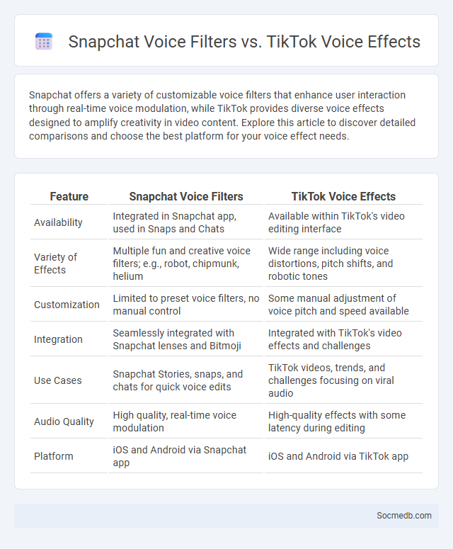 Snapchat Voice Filters vs. TikTok Voice Effects - What is The Difference?