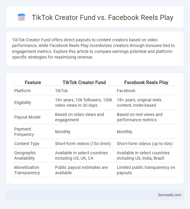 TikTok Creator Fund vs. Facebook Reels Play - What is The Difference?