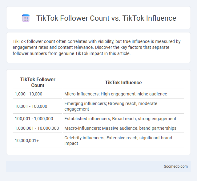TikTok Follower Count vs. TikTok Influence - What is The Difference?