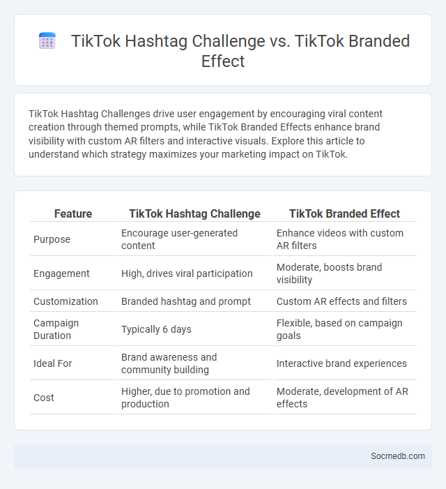 TikTok Hashtag Challenge vs. TikTok Branded Effect - What is The Difference?