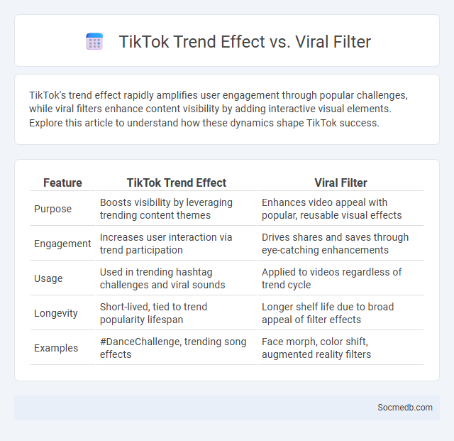 TikTok Trend Effect vs. Viral Filter - What is The Difference?