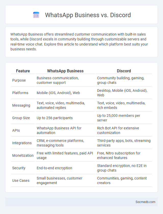 WhatsApp Business vs. Discord - What is The Difference?