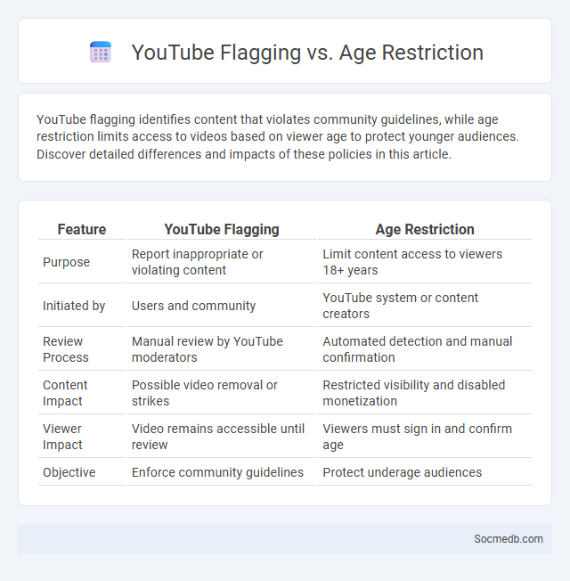 YouTube Flagging vs. Age Restriction - What is The Difference?
