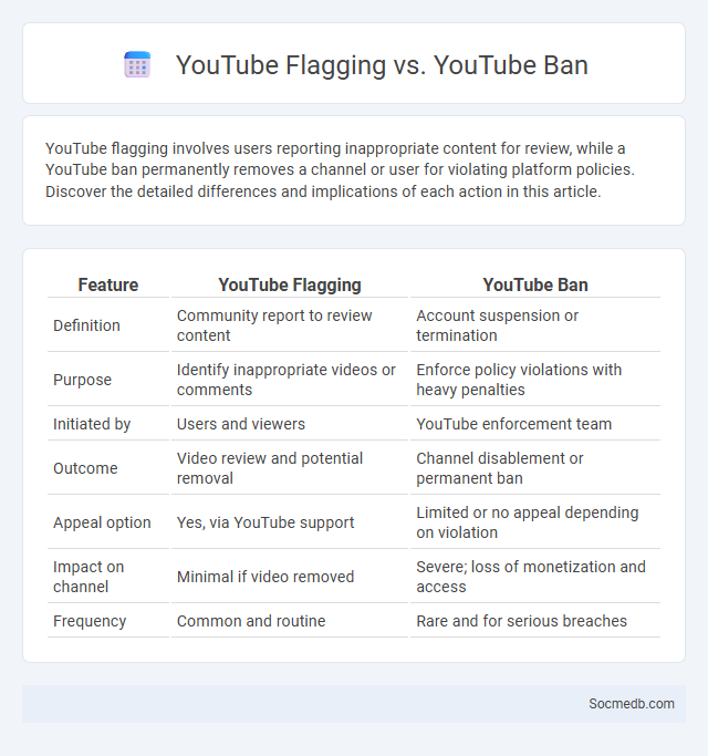 YouTube Flagging vs. YouTube Ban - What is The Difference?