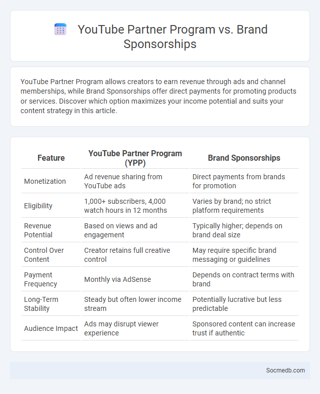 YouTube Partner Program vs. Brand Sponsorships - What is The Difference?