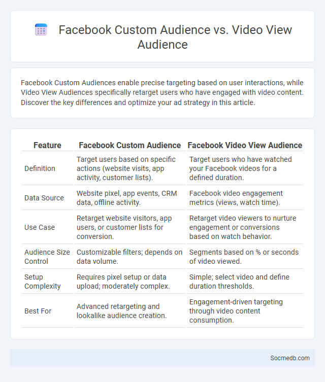 Facebook Custom Audience vs. Video View Audience - What is The Difference?