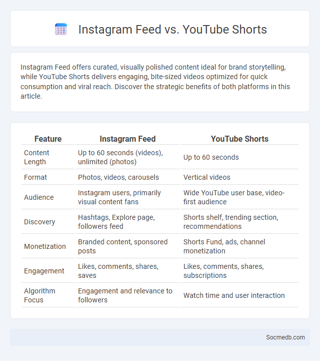 Instagram Feed vs. YouTube Shorts - What is The Difference?