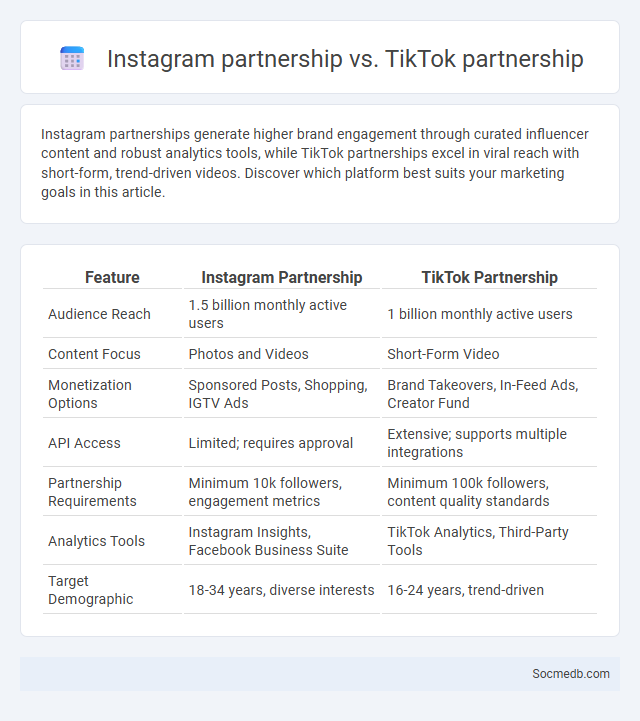 Instagram partnership vs. TikTok partnership - What is The Difference?
