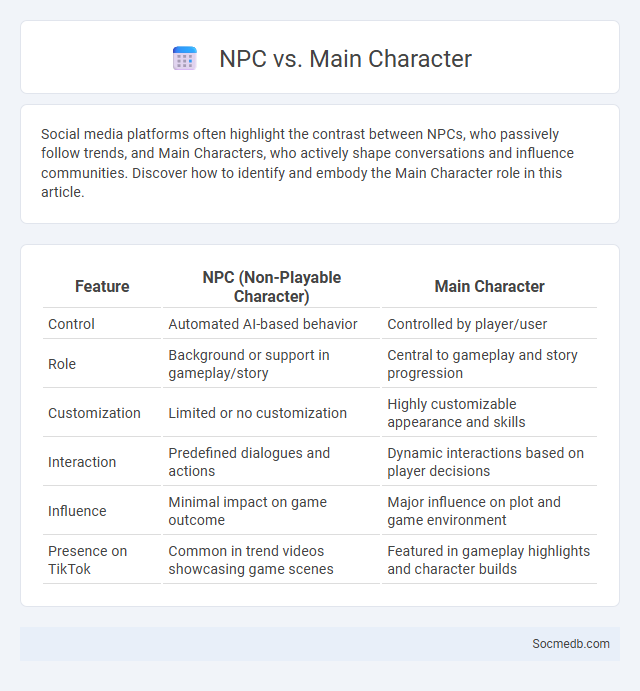 NPC vs. Main Character - What is The Difference?