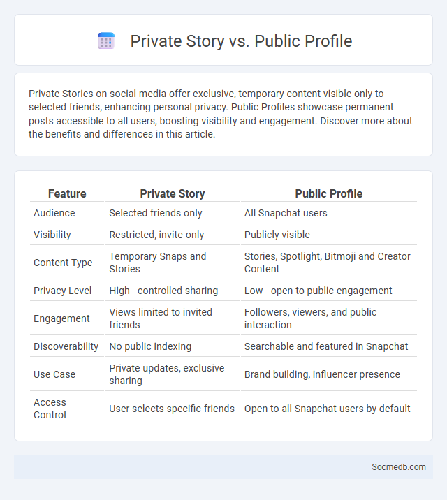Private Story vs. Public Profile - What is The Difference?