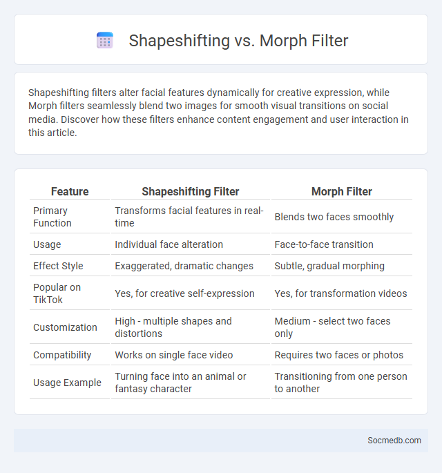 Shapeshifting vs. Morph Filter - What is The Difference?