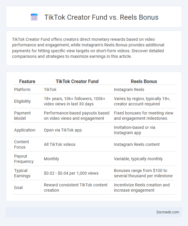 TikTok Creator Fund vs. Reels Bonus - What is The Difference?