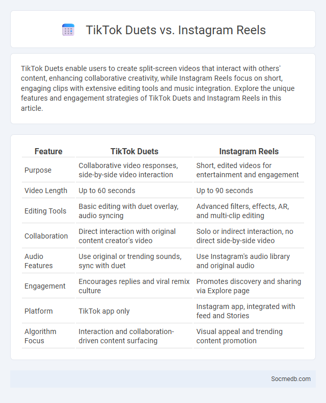 TikTok Duets vs. Instagram Reels - What is The Difference?